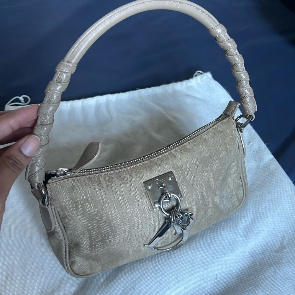 Dior Mini Canvas Bag